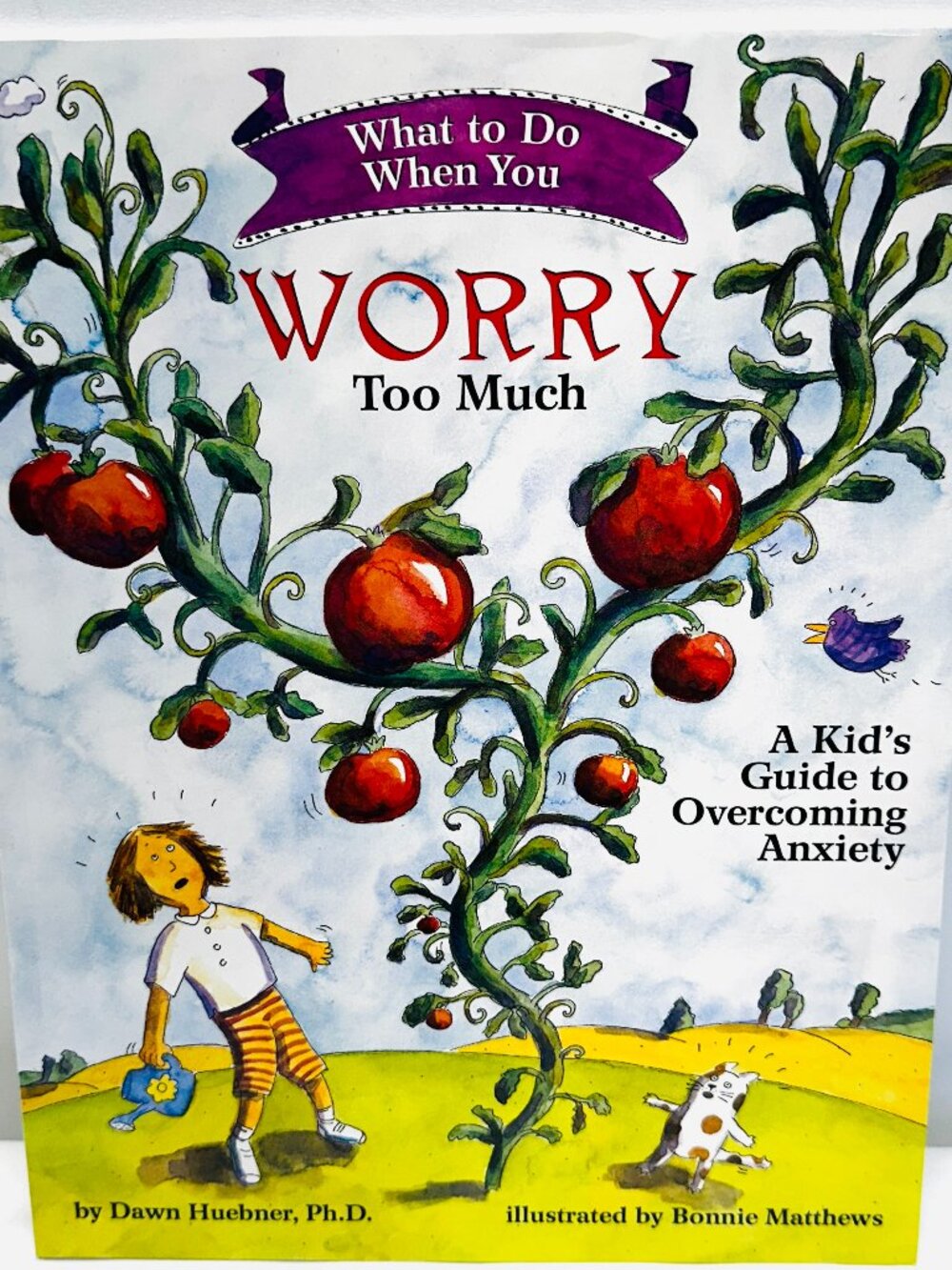 What to Do When You Worry Too Much: A Kid's Guide to Overcoming by Dawn Huebner